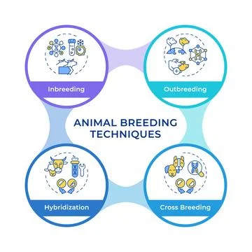 Types of breeding infographic circles flowchart Illustrazione stock