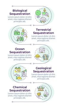 Types of carbon sequestration infographic vertical sequence Illustrazione stock