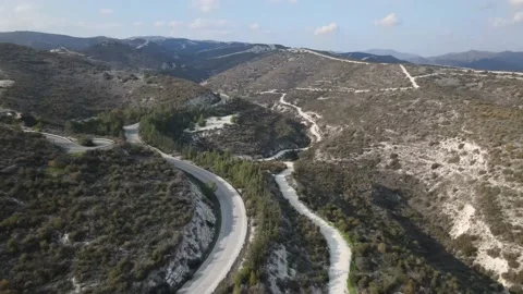 Types of Cyprus in the mountains. Diverse landscape in nature. Stock Footage 168122646