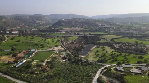Types of Cyprus in the mountains. Diverse landscape in nature. Vídeo Stock 168123019
