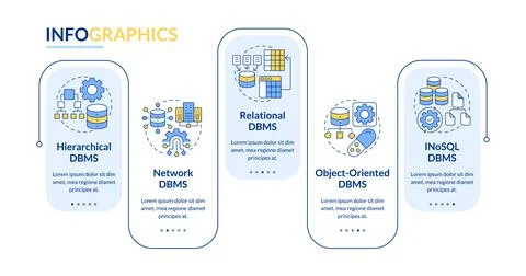 Types of dbms rectangle infographic vector Stock Illustration