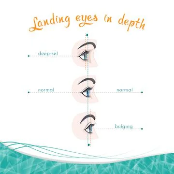 Types of eye landing in depth Illustrazione stock