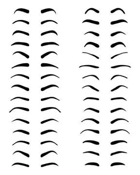 Types of eyebrows Stock Illustration