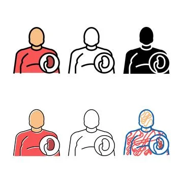 Types fat human kidneys color icon vector Stock Illustration