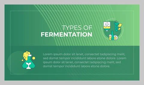 Types of fermentation presentation slide template Stock Illustration