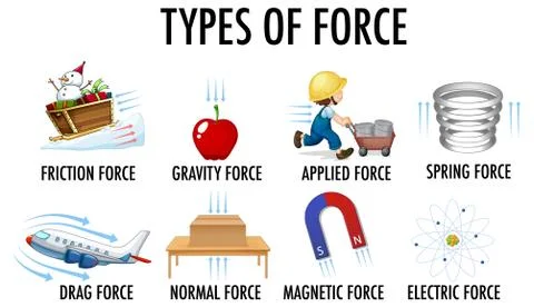 Types of force for children physics educational poster Stock Illustration