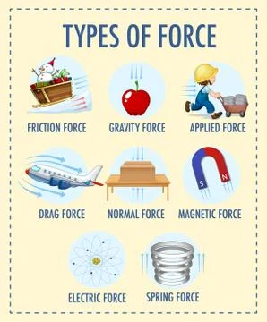 Types of force for children physics educational poster Stock Illustration
