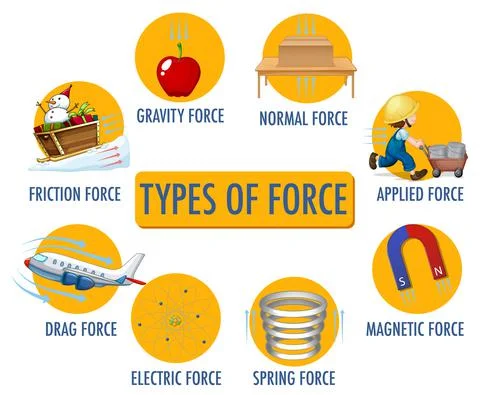 Types of force for children physics educational poster Stock Illustration