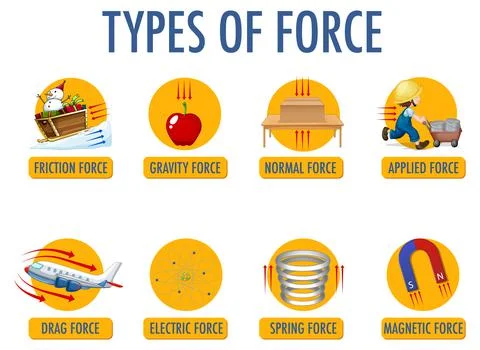Types of force for children physics educational Stock Illustration