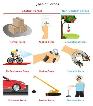 Types of Forces Infographic Diagram for physics science education vector Illustrazione stock