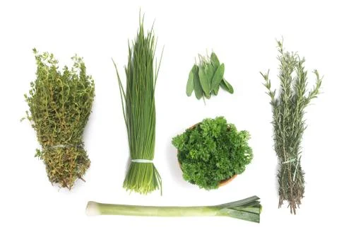 Types of Fresh Herbs Stock Photos