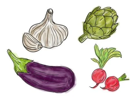 Types of fresh vegetables Stock-Illustration