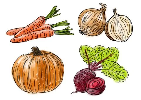Types of fresh vegetables Stock Illustration