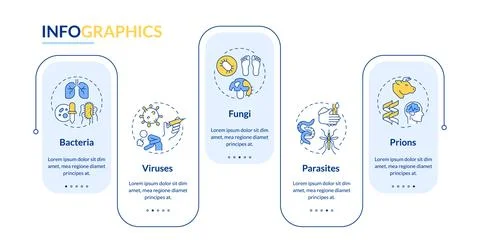 Types of infectious agents rectangle infographic vector Stock Illustration
