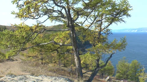 Types of Lake Baikal Stock Footage 24280863