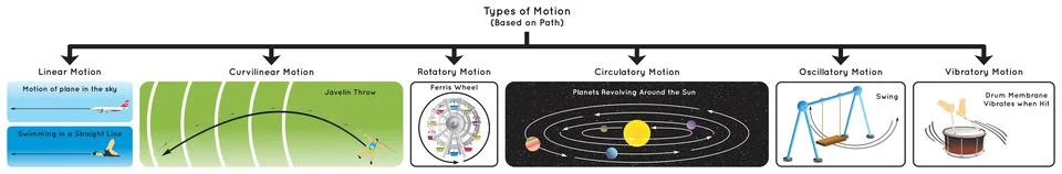 Types of Motion Infographic Diagram based on path for physics science education Illustration