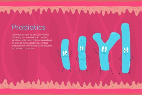 Types of probiotics on the background of the intestine. Stock Illustration