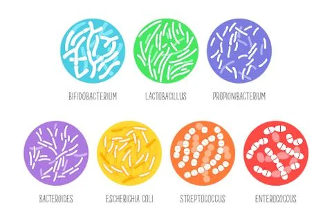 Types of probiotics on a white background. Vector illustration. Stock Illustration
