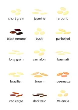 Types of rice. Stock Illustration