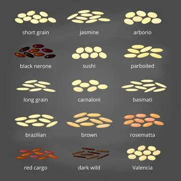 Types of rice. Stock Illustration