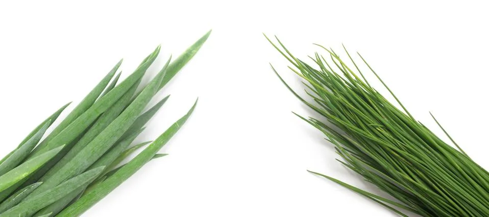Types of Spring Onions Stock Photos