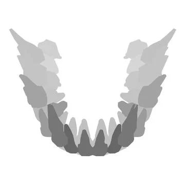 Types of tooth silhouette. Various human tooth with roots, molars, premolars, Stock Illustration