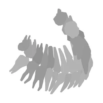 Types of tooth silhouette. Various human tooth with roots, molars, premolars, Stock Illustration