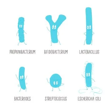 Types of useful probiotics. Vector illustration. Stock Illustration