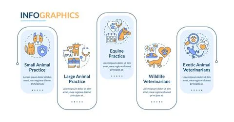 Types of veterinary practices rectangle infographic vector 스톡 일러스트