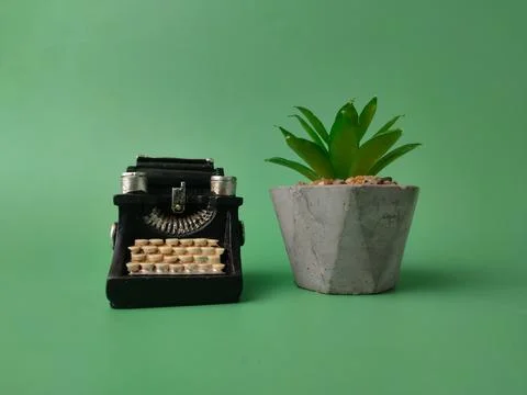 Typewriter beside a Succulent Planter Stock Photos