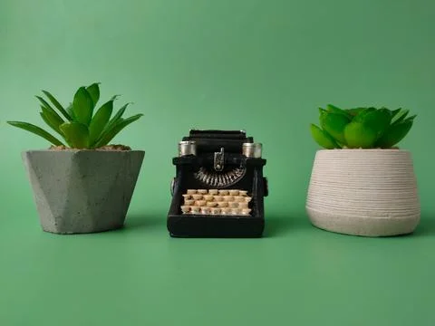 Typewriter between Two Succulent Planters Stock Photos
