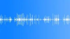 Typewriter typing loopSound Effect