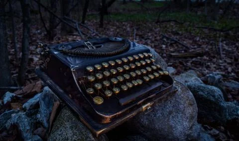 Typewriter in the Woods 写真素材