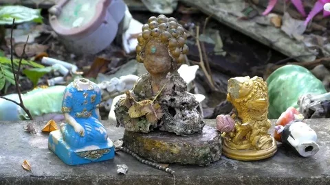 Typhoid Mary Stock Footage 69205644