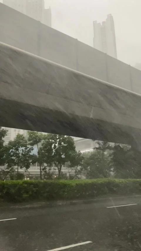 Typhoon Drive Through Singapore’s Monsoon and Stormy Rain Stock Footage 313477083