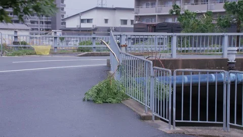 Typhoon Jebi Tree Branch Collapsed Following Storm Stock Footage 94727687