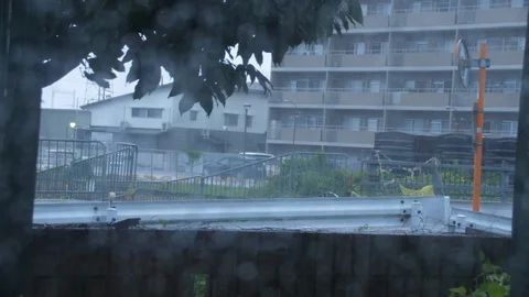 Typhoon Jebi Wind Blows Bridge (1) Stock Footage 94727189