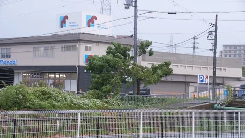 Typhoon Jebi Wind Blows A Tree Intensely (2) Stock Footage 94726287