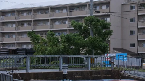 Typhoon Jebi Wind Blows A Tree Intensely (1) Stock Footage 94727107