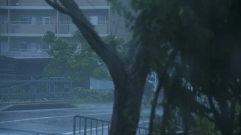 Typhoon Jebi Winds Blow Trees Intensely (2) Stock Footage 94726412