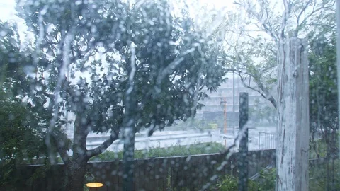 Typhoon Jebi Winds Blow Trees Intensely (7) Stock Footage 94726587
