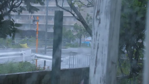 Typhoon Jebi Winds Blow Trees Intensely (8) Stock Footage 94743124