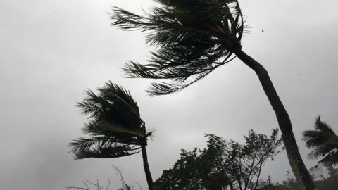 Typhoon Mawar Guam Stock Footage 243206741