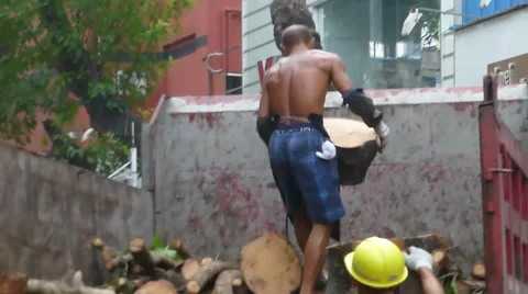Typhoon toppled trees in the street, the workers in handling Stock Footage 66074711