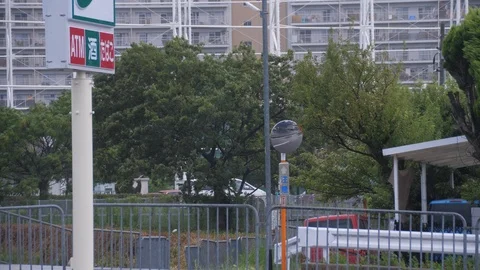 Typhoon Trees Blow in the Wind Video stock 94726265