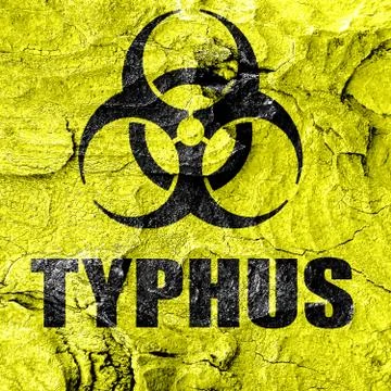 Typhus concept background Stock Illustration