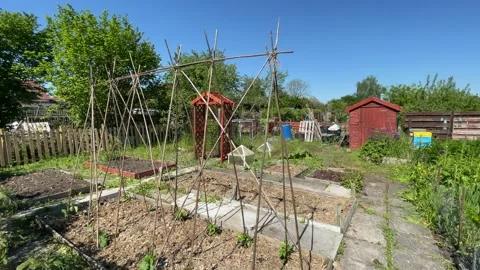 Typical allotment plot in England Vídeos de archivo 157437113