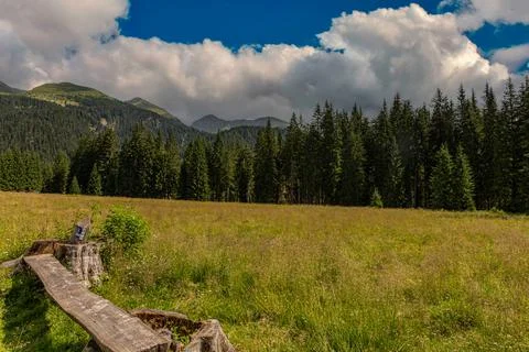 Typical alpine pastures Stock Photos