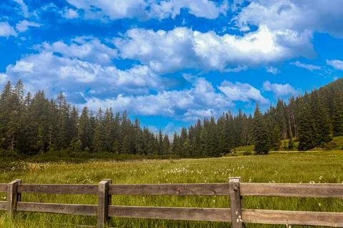 Typical alpine pastures Stock Photos