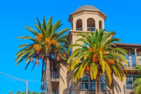 Typical architecture with palm trees in Riverside, California Stock-Fotos